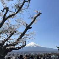 Mount Fuji view with pagoda! 