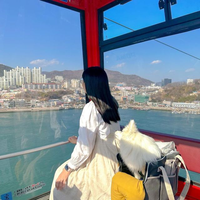 여수 바다 위에서 여수 바다 한눈에 담아보기🚠