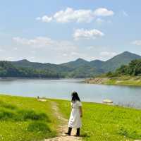 한국에서 스위스 풍경을 볼 수 있는 카페🌿💚