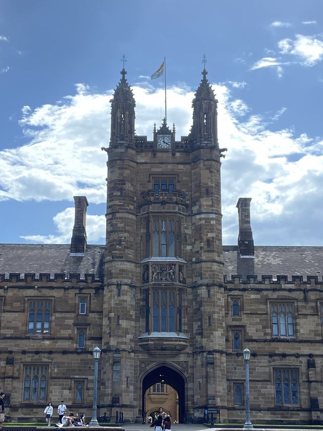 지구 건너편 호주 시드니 🇦🇺