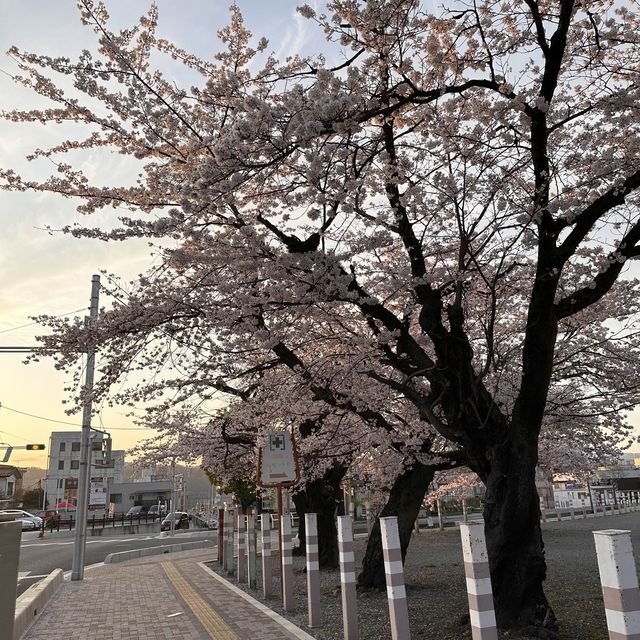 秩父住宿推介