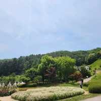 초여름 경기도 꽃구경에는 용인농촌테마파크