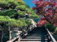 วัดคิโยะมิซุ 清水寺 หรือวัดน้ำใส 🍁⛩️