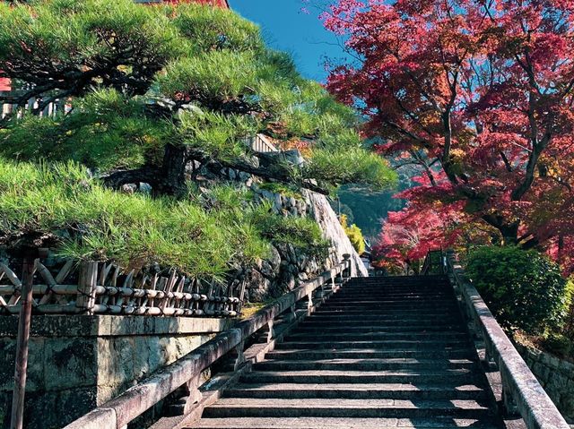วัดคิโยะมิซุ 清水寺 หรือวัดน้ำใส 🍁⛩️