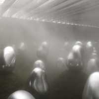 TeamLab Plants TOKYO