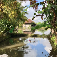 Hidden Place of Paradise in Ubud