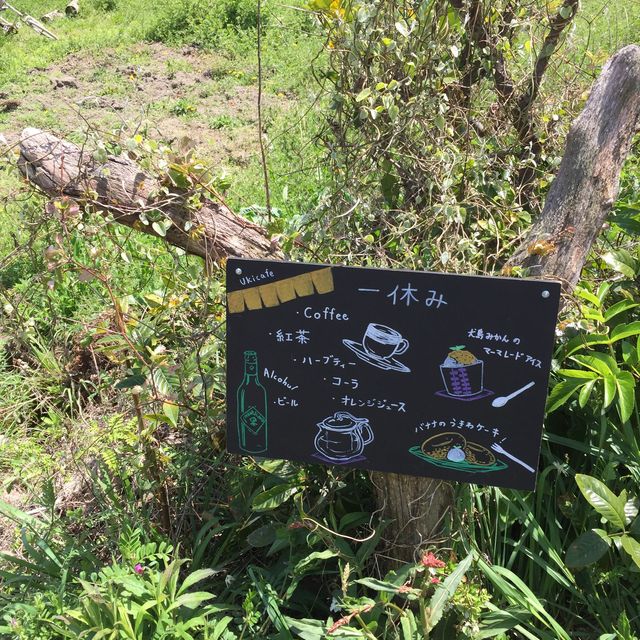 犬島 ｜🏝️小島與藝術的結合