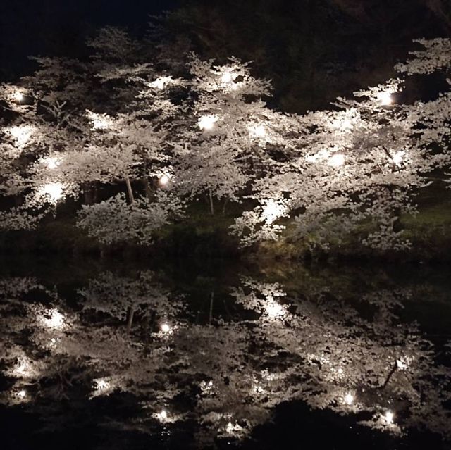 night view with takada castle 🏰 