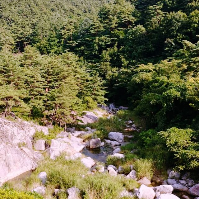 🏞️ 대관령, 강릉의 역사가 담긴 대관령박물관