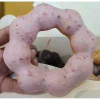 台灣Mister Donut冬甩！