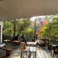 京都伏見稻荷必訪咖啡廳：Vermillion Cafe