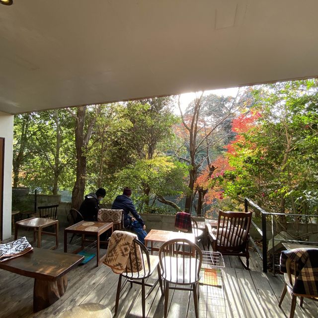 京都伏見稻荷必訪咖啡廳：Vermillion Cafe