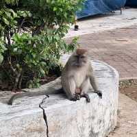 Penang Hill จุดเช็คอินที่ไม่ควรพลาด 