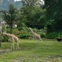 zoo time with family