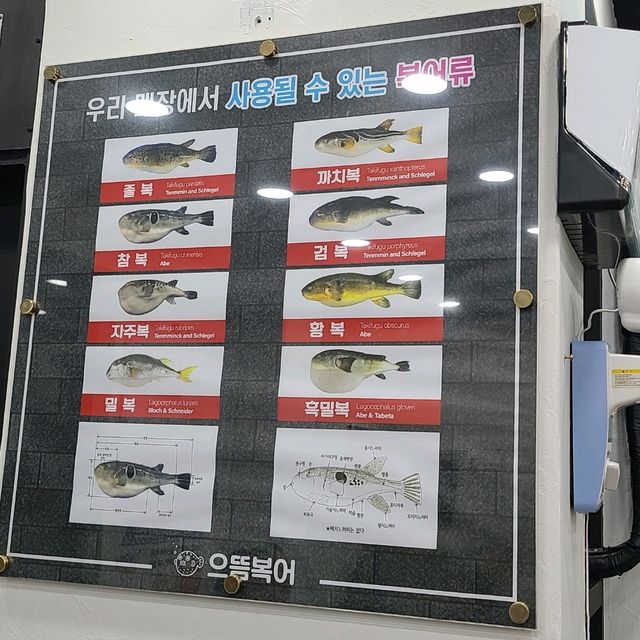 제주 노형동 맛집)으뜸복어 - 전국구 가성비 복어요리 전문점