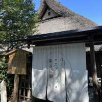 【京都府】嵐山の人気カフェでお料理と雰囲気を楽しむ