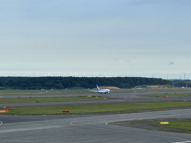 北海道『新千歳空港 展望デッキ』から見渡す大地と航空機