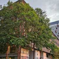 Forest urban lanscape of Tamarind Square