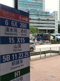 一條既輕鬆又CP值高之行山徑,你總等？