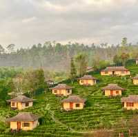 Serene Splendor: Chasa RakThai Retreat