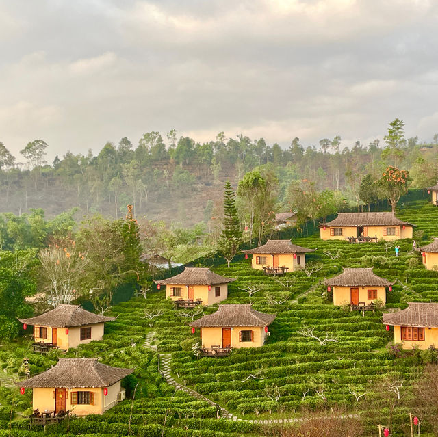 Serene Splendor: Chasa RakThai Retreat