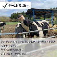 【オシャレスポットたくさん!1泊2日の那須ドライブ女子旅🚗】