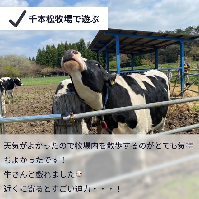 【オシャレスポットたくさん!1泊2日の那須ドライブ女子旅🚗】 【オシャレスポットたくさん!1泊2日の那須ドライブ女子旅🚗】
