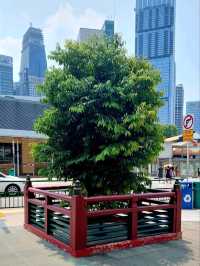 Spiritual Tranquility at Chinatown Singapore