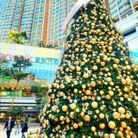 The joy of Christmas is best felt when standing in front of a beautifully decorated tree🎄