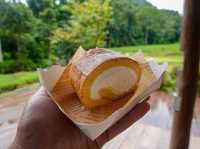 หลงเขา บ่อเกลือ น่าน-Lhong Khao 🍵☕️
