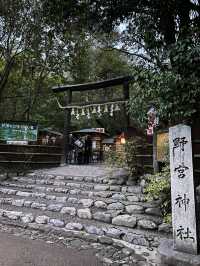 A shrine inside the bamboo forest ⛩️🕋