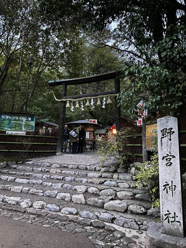 A shrine inside the bamboo forest ⛩️🕋