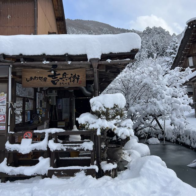 겨울왕국 시라카와고❄️