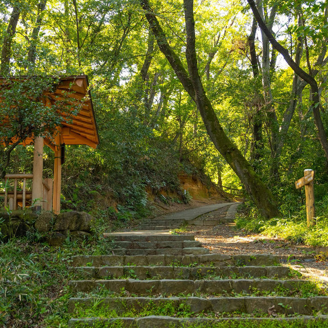 A park near Kawasaki station