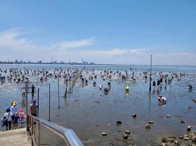 Kisarazu Coast Shiohigari 