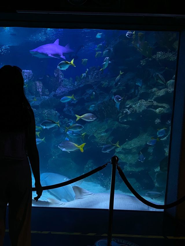 Visiting Aquaria KLCC, Kuala Lumpur 🇲🇾