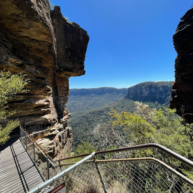 【シドニー観光】必ず抑えたいスポット「ブルーマウンテンズ」🇦🇺 【シドニー観光】必ず抑えたいスポット「ブルーマウンテンズ」🇦🇺