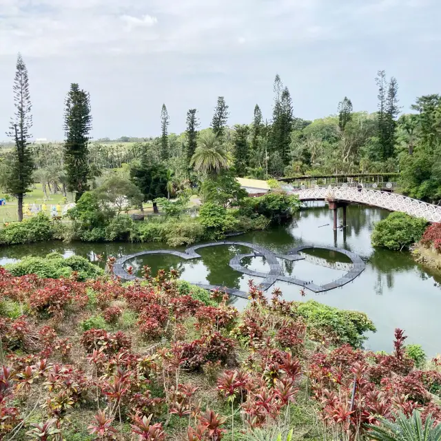 「沖繩東南植物樂園」：亞熱帶植物展示，必去打卡點