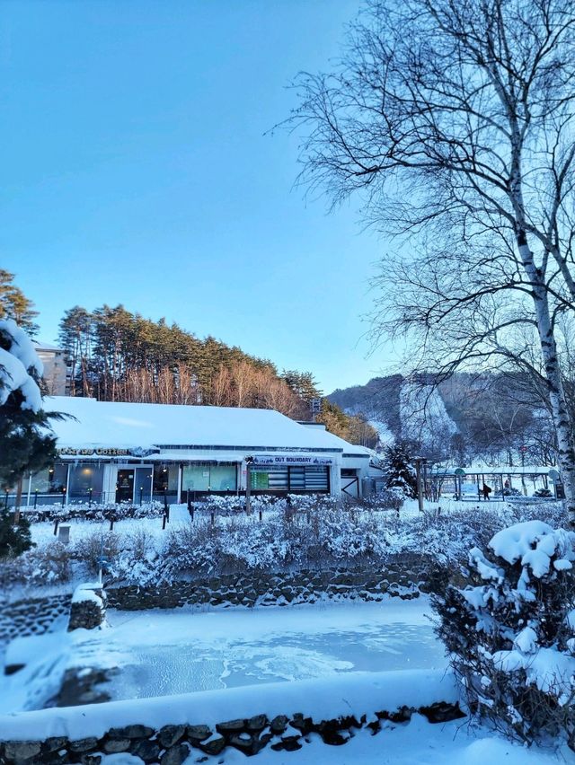 눈오면 꼭 가야할 평창 호텔🤍