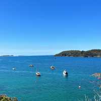野生のキウイやオーロラが見れる！？ニュージーランド最南端の島🇳🇿