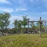 Mangrove Beach Cafe'