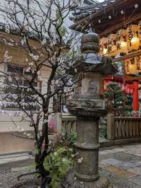 繁華街、唯一の神社【錦天満宮】の梅の花は、まだ八分咲きだけど綺麗だった