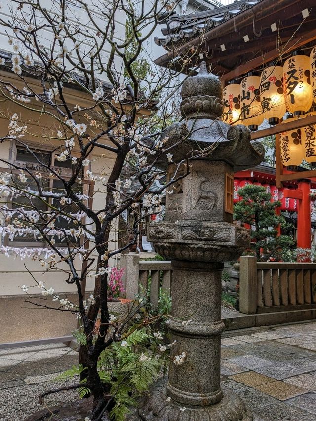 繁華街、唯一の神社【錦天満宮】の梅の花は、まだ八分咲きだけど綺麗だった