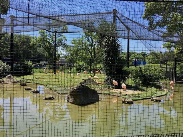 Chiba City Zoo