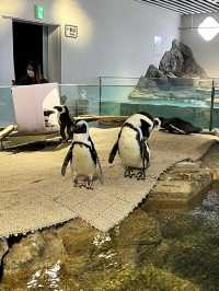美術館…？いえ歴とした水族館です