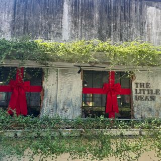 Heal our heart ❤️ at greenery cafe 