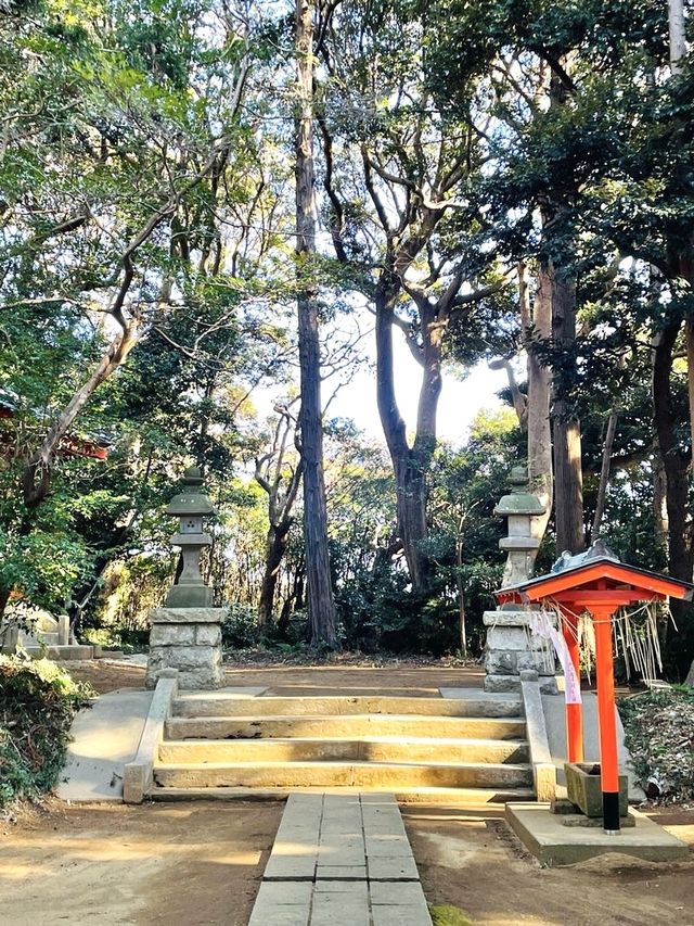 【鹿島神宮北の一之鳥居と戸隠神社/茨城県】神戸森に佇む朱塗りの鳥居