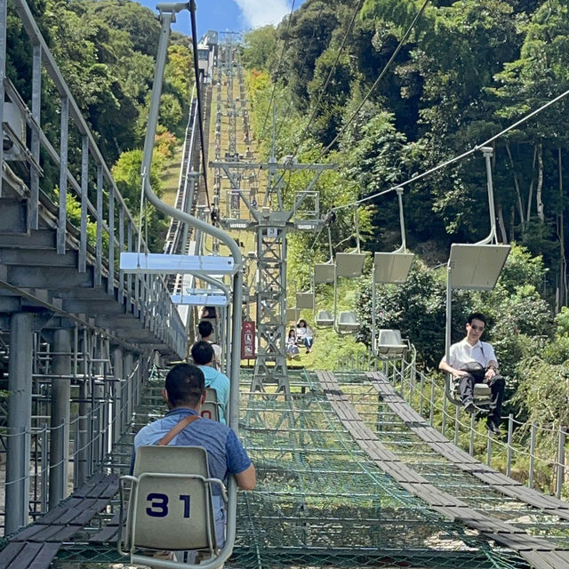 You MUST VISIT Amanohashidate in Kyoto!