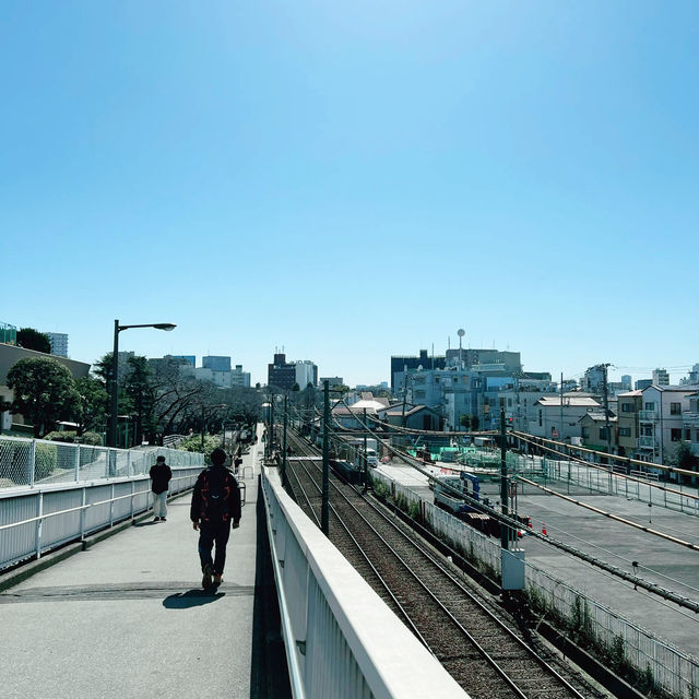 東京賞櫻季節期間限定的「都電櫻花號」賞櫻列車