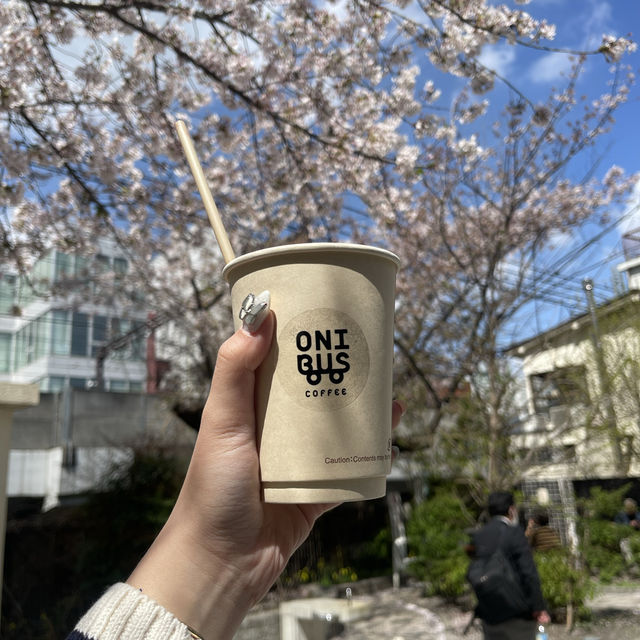 Spring in Nakameguro,Tokyo🌸